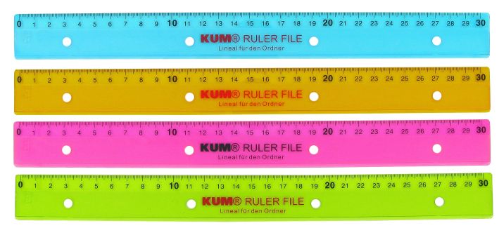 Lineal Ruler File 30cm