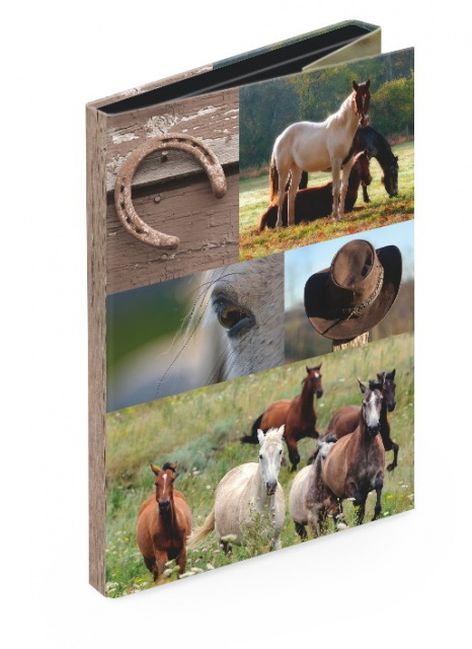 Heftbox A4 Pferde